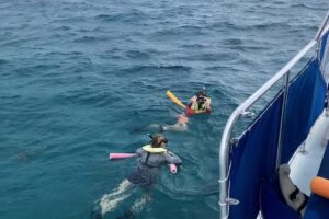 Starfish Marathon Snorkeling Tours