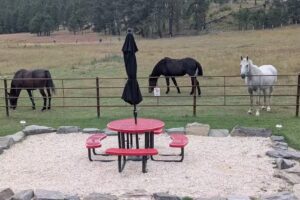 Stay in The Black Hills | Formerly J&J Hospitality