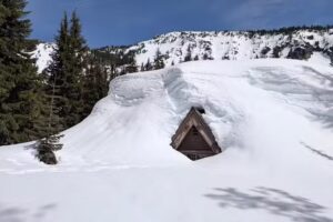 Steel Information Center