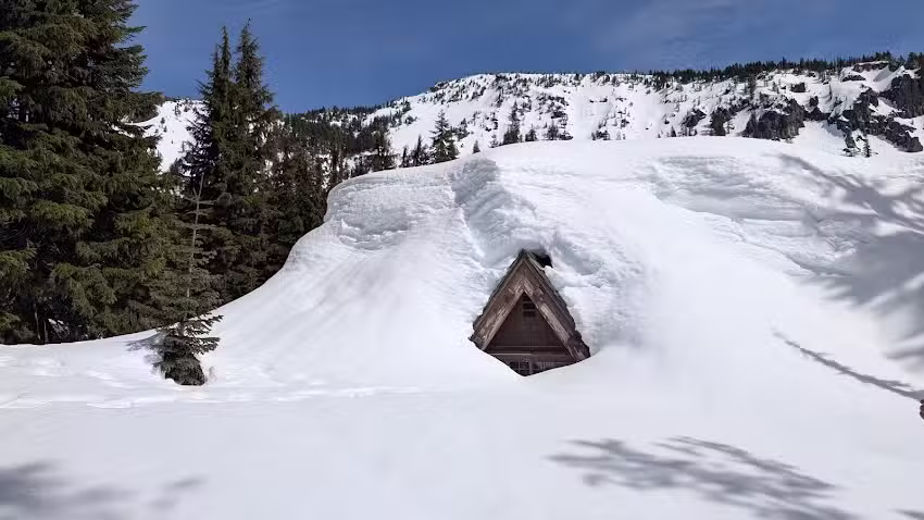 Steel Information Center