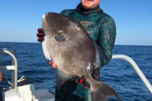 Steel Slinger Dive Charters