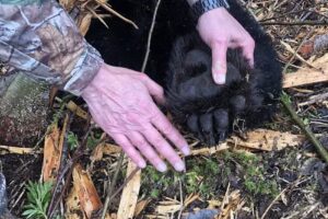 Steve’s Outdoor Adventures