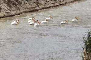 Stillwater National Wildlife Refuge Headquarters