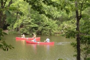 Stokes County Economic Development & Tourism