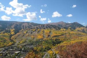 Stonebridge Condominiums