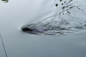 Stonewall Jackson Dam Visitor Center