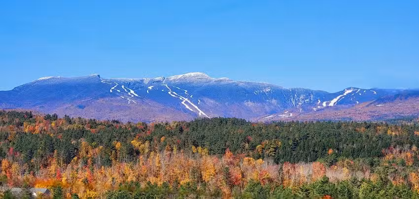 Stowe Vermont Rentals, LLC.