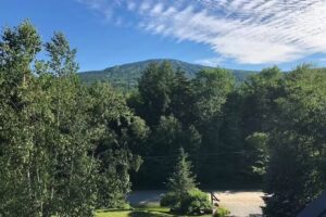 Stratton Vacation Home Rental