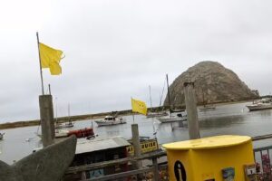 Sub Sea Tours & Kayaks