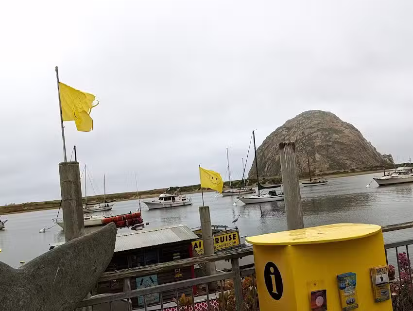 Sub Sea Tours & Kayaks