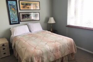 Sue’s Pride – Beach City Forest