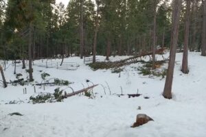 Sugar Pine RV Resort and Mobile Home Park