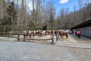 Sugarlands Riding Stables