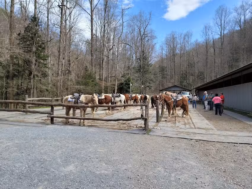 Sugarlands Riding Stables