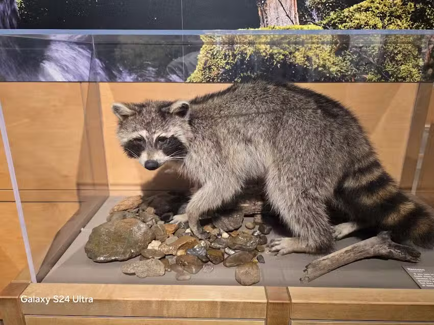 Sugarlands Visitor Center