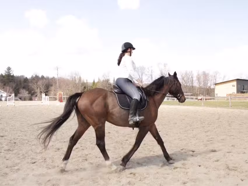 Sugarwoods Equestrian Center