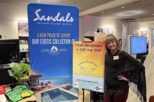 Suitcase of Dreams Travel