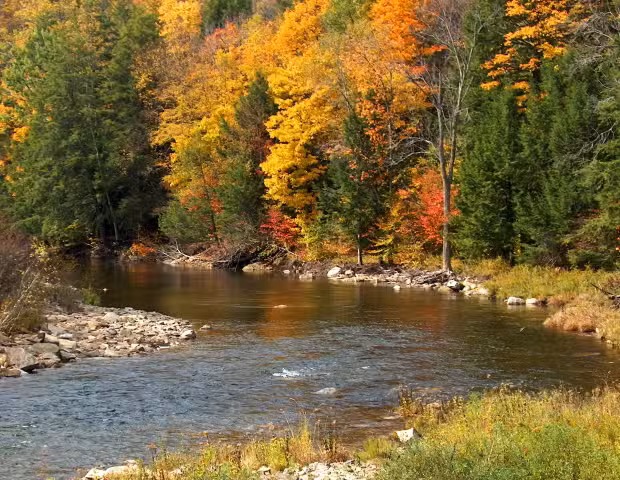 Sullivan County Chamber of Commerce,