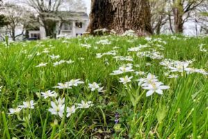 Sumner County Tourism