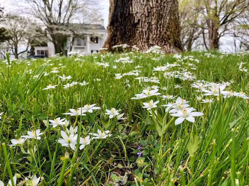 Sumner County Tourism