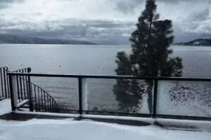 Sun Bear Realty and Management