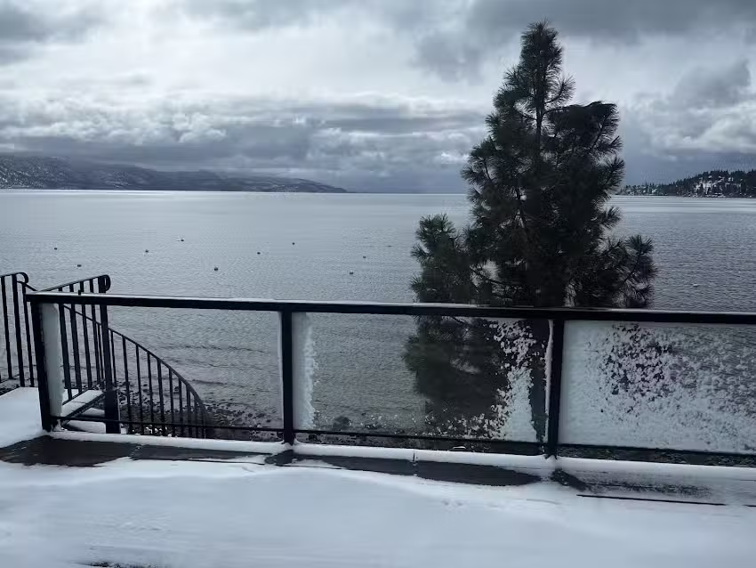 Sun Bear Realty and Management