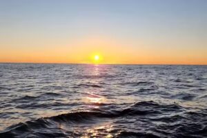 Sun Coast Cruises, LLC