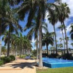 Sun Connections Travel & Cruises, LLC