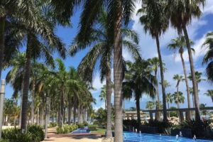 Sun Connections Travel & Cruises, LLC