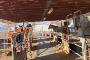 Sundance Ranch of Nevada, LLC