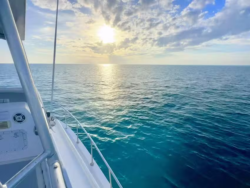 Sundiver Snorkel Tours