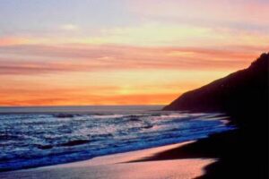 Sunny Cruises & Travel