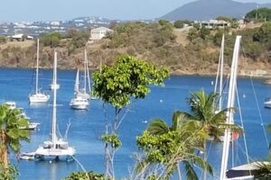 Sunny Days Travel LLC