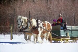 Sunrise Pack Station LLC