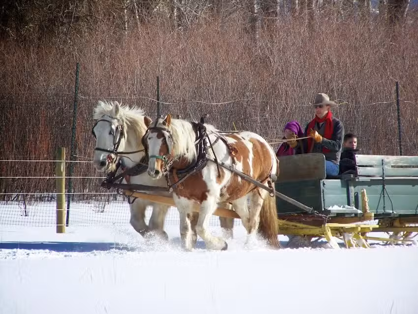 Sunrise Pack Station LLC