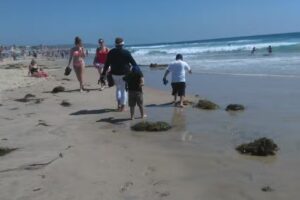 Sunset Sands Ocean Front Vacation Rental