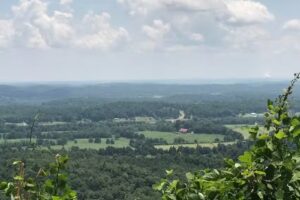 Sunset Traveler Agent