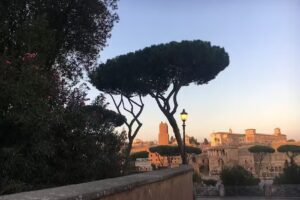 Sunshine Travel Service