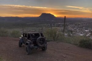 Superior Tour Company