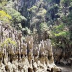 Superior Travel Service Inc