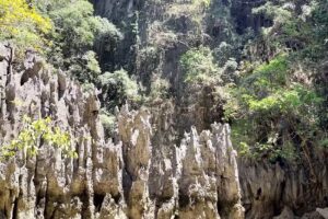 Superior Travel Service Inc