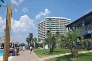 Surf’s Up Dolphin Cruises