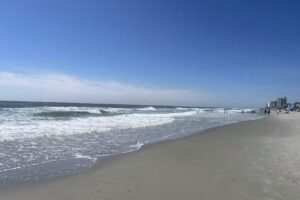 Surfside Realty Company