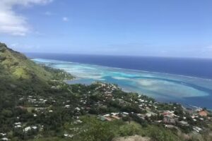 SVH Tours & Travel Services