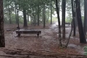 Swallow Fork Lake – Cabin