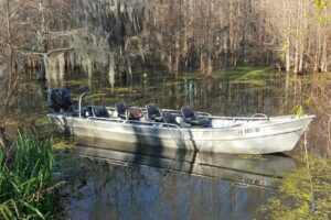 Swamp Tours of Acadiana