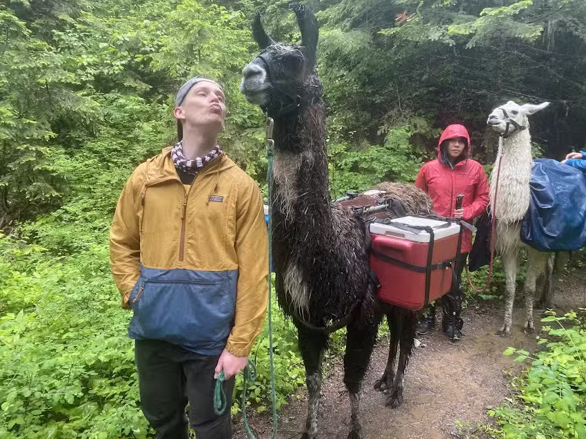 Swan Mountain Llama Trekking