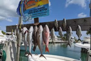 Sweet E’Nuf Charters