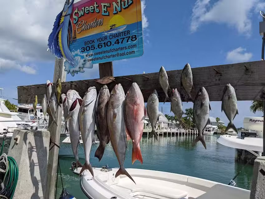 Sweet E’Nuf Charters