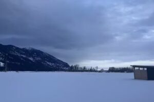 Swell Property Management